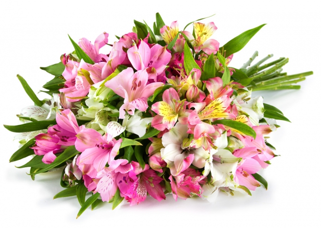 Bild zu Miflora: Blumenstrauß “Amica” für 16,80€ inkl. Versand