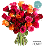 Bild zu Miflora: Rosen Rallye – bis zu 30 bunte Rosen ab 19,80€ inklusive Versand