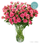 Bild zu Miflora: Rosen Rallye – Nathalie Rosen mit bis zu 140 Blüten (20 Stiele) für 17,90€