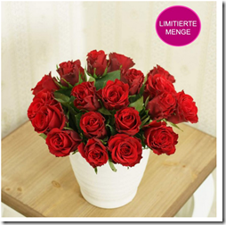 Bild zu 20 rote Rosen (ca. 50cm Stillänger) für 16,80€