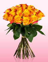 Bild zu [Ab 17 Uhr] Miflora Happy Hour: 20 orangefarbene Marie Claire Rosen für 16,90€