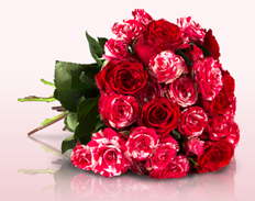Bild zu Miflora: Blumenstrauß “Rosenkavalier” mit 14 Rosen für 16,10€