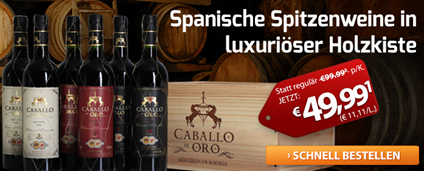 Bild zu Weinvorteil: Weinkiste „Seleccion del Bodega“ Caballo de Oro für 38,94€
