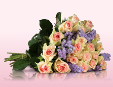 Bild zu Miflora: Blumenstrauß “Lovely Rose” mit 18 rosafarbenen Rosen & 7 lila Limonium für 18,90€