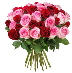 Bild zu Blume Ideal: Blumenstrauß “Lovely” mit 15 roten & 15 pinken Rosen (50cm Stiellänge) für 19,94€