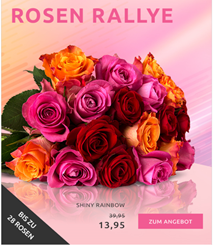 Bild zu Miflora: 28 bunte Rosen für 18,90€ inklusive Versand