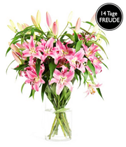 Bild zu Blume Ideal: 12 langstielige pinkfarbene Lilien für 17,94€