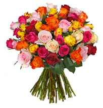 Bild zu Blume Ideal: 41 bunte Rosen (50cm Stiellänge) für 22,94€