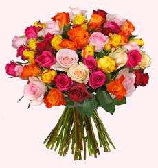 Bild zu Blume Ideal: Blumenstrauß mit 31 bunten Rosen (50cm Stiellänge) für 20,94€