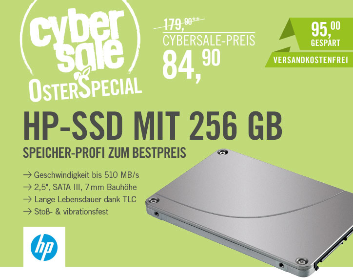 Bild zu Interne 2,5 Zoll SSD HP 256GB für 84,90€