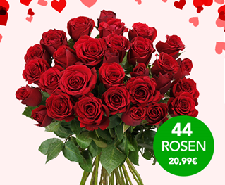Bild zu 44 rote Rosen (ca. 50cm lang) für 25,94€ inklusive Versand