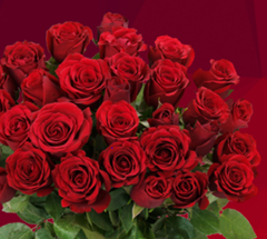Bild zu BlumeIdeal: bis zu 33 rote Rosen für 20,94€