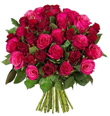 Bild zu Blume Ideal: Blumenstrauß “RomanticRoses” mit 41 pinken und roten Rosen für 22,98€