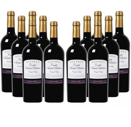 Bild zu Weinvorteil: 12 Flaschen Castillo Santa Paulina Carmenère Reserva Central Valley für 34,99€