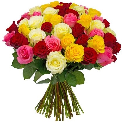 Bild zu Blume Ideal: Rosenstrauß „Happy New Year“ mit 37 bunten Rosen (50cm Stiellänge) für 21,98€