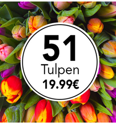 Bild zu Blume Ideal: Blumenstrauß mit 51 bunten Tulpen (40cm Länge) für 22,98€