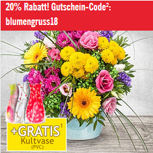 Bild zu 20% Rabatt (ab 24,99€ Bestellwert) bei Lidl Blumen + keine Versandkosten