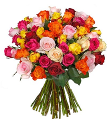 Bild zu Blume Ideal: Blumenstrauß “ClassicRoses” mit 50 bunten Rosen (50cm Stiellänge) für 24,98€