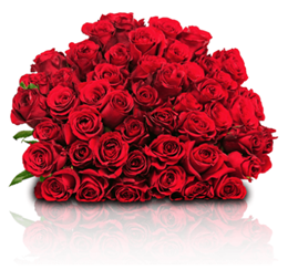 Bild zu Blume Ideal: Blumenstrauß „ClassicRed“ mit 44 roten Rosen für 24,98€ oder 55 rote Rosen für 29,98€