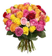 Bild zu Blume Ideal: Blumenstrauß “GrandeRoses” mit 44 bunten Rosen (50cm Stiellänge) für 22,98€