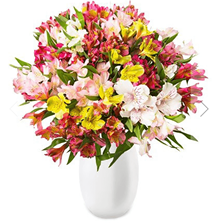 Bild zu Blume Ideal: Blumenstrauß mit 41 Inkalilien mit bis zu 300 Blüten für 22,98€ inkl. Versand