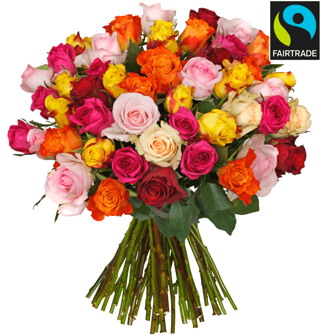 Bild zu BlumeIdeal: Rosenstrauß „HappyNewYear“ mit 44 bunten Rosen (50cm Stiellänge) für 23,98€