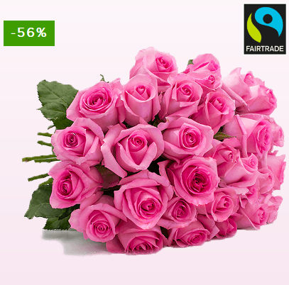 Bild zu BlumeIdeal: 45 Rosen „PinkDiamonds“ für 24,98€ inkl. Versand