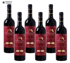 Bild zu Weinvorteil: 6 Flaschen Caballo de Oro – Tempranillo Reserva – Valdepeñas DO für 34,98€