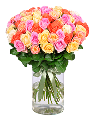 Bild zu Blume Ideal: Blumenstrauß “HighClass” mit 50 bunten Rosen für 27,98€