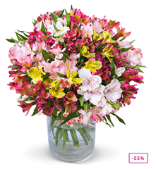 Bild zu Blume Ideal: Blumenstrauß mit 45 Inkalilien mit bis zu 400 Blüten für 24,98€