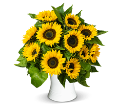 Bild zu Blume Ideal: Blumenstrauß mit 20 Sonnenblumen (50cm Länge) für 22,98€
