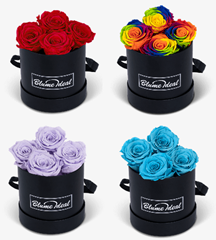 Bild zu Blume Ideal: Rosenbox mit 4 Infinity Rosen (jahrelang haltbar) für je 30,48€