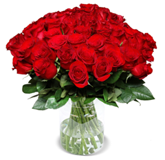 Bild zu Blume Ideal: Blumenstrauß mit 44 roten Rosen (50cm Stiellänge) für 27,98€