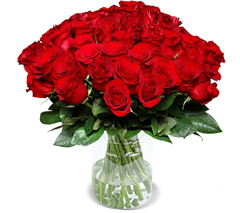 Bild zu Blumenstrauß mit 50 roten Rosen (50cm Stiellänge) für 29,98€