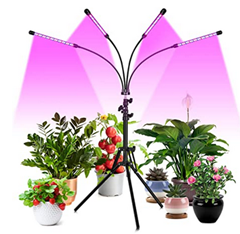 Bild zu FREDI Pflanzenlampe LED (80W, 4 Lampen auf Stativ) für 15,89€