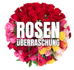 Bild zu Rosenüberraschung mit 50 Rosen (50cm Stiellänge) für 27,98€
