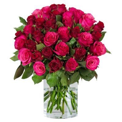 Bild zu Blume Ideal: Blumenstrauß Romantic Roses mit 35 rot-pinken Rosen für 25,98€