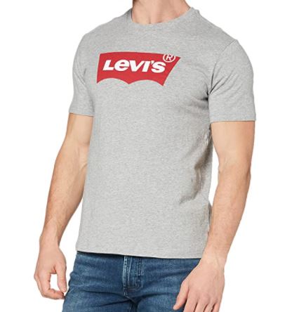 Bild zu Levi’s Graphic T-Shirt für Herren in grau (Gr.: XXS – 3XL) für 11,80€ (VG: 23,80€)