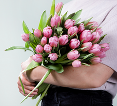 Bild zu Tulpen in Rosa (30 Stiele) für 10€ inklusive Versand