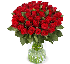 Bild zu 50 rote Rosen für 45,98€ inklusive Versand