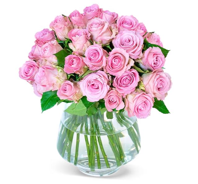 Bild zu BlumeIdeal: 50 pinke Rosen (ca. 40cm Stiellänge) für 25,98€