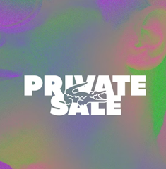 Bild zu Lacoste Private Sale mit bis zu 50% Rabatt