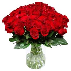 Bild zu Blume Ideal: Blumenstrauß Classic Red mit 44 roten Rosen für 25,98€