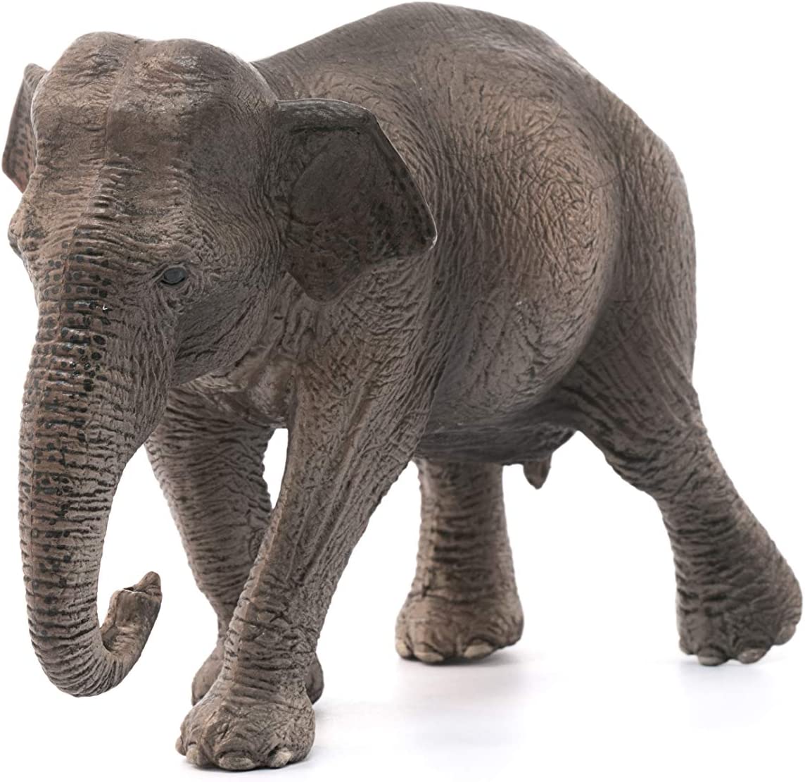 Bild zu Schleich Asiatische Elefantenkuh (14753) für 4,99€ (Vergleich: 10,46€)