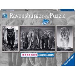 Ravensburger Puzzle 16729 - Panter, Elefanten, Löwe
