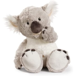 Bild zu NICI Koala Kabo ca. 25cm Plüsch Kuscheltier für 14,46€ (VG: 24,99€)