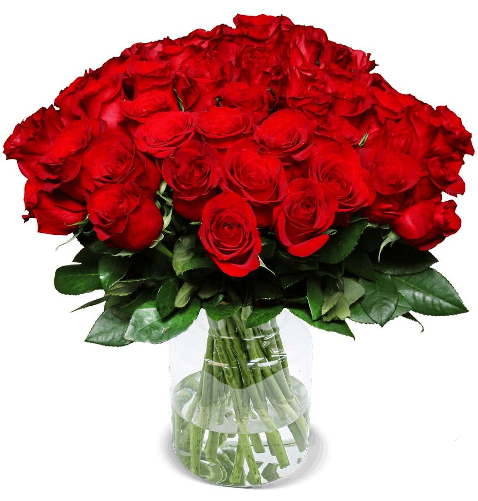 Bild zu Blume Ideal: Rosenstrauß ClassicRed mit 44 roten Rosen für 32,48€