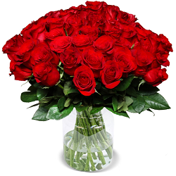 Bild zu Blume Ideal: Rosenstrauß mit 44 roten Rosen für 26,98€