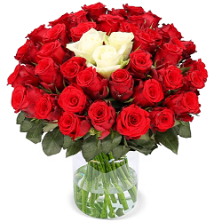 Bild zu Blume Ideal: Rosenstrauß Sweetheart mit 50 Rosen in Rot und Weiß für 30,48€