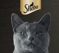 Bild zu Amazon: verschiedene Sheba Produkte im Angebot